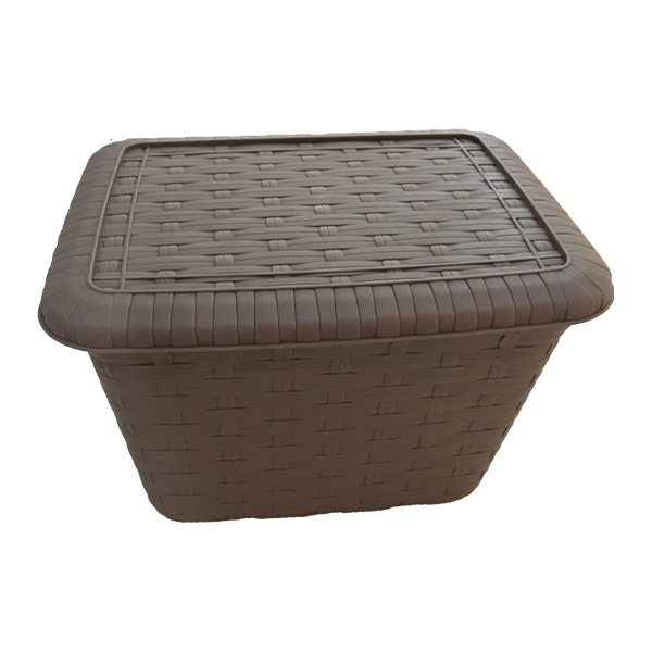 Plastic Storage Box Mould